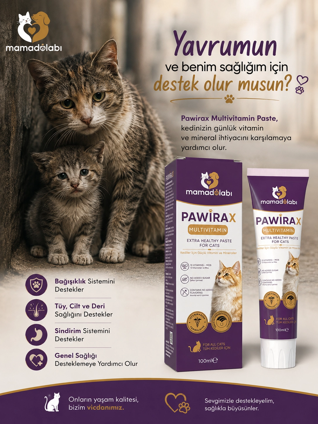 Sokak Kedilerinin Sağlığına Destek Olun | Pawirax Multivitamin