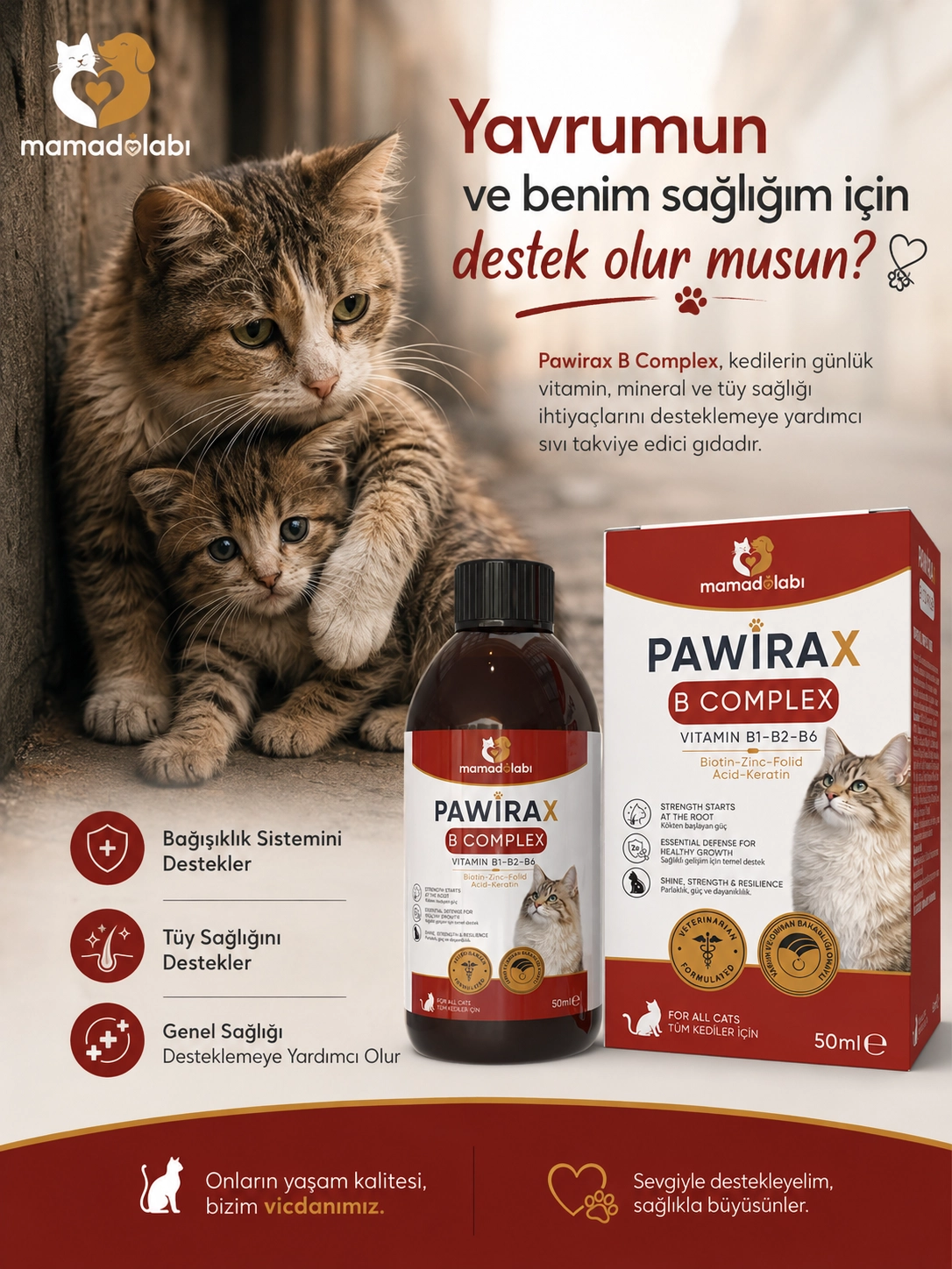 Sokak Kedilerinin Sağlığına Destek -yardımcı Olun | Pawirax B COMPLEX