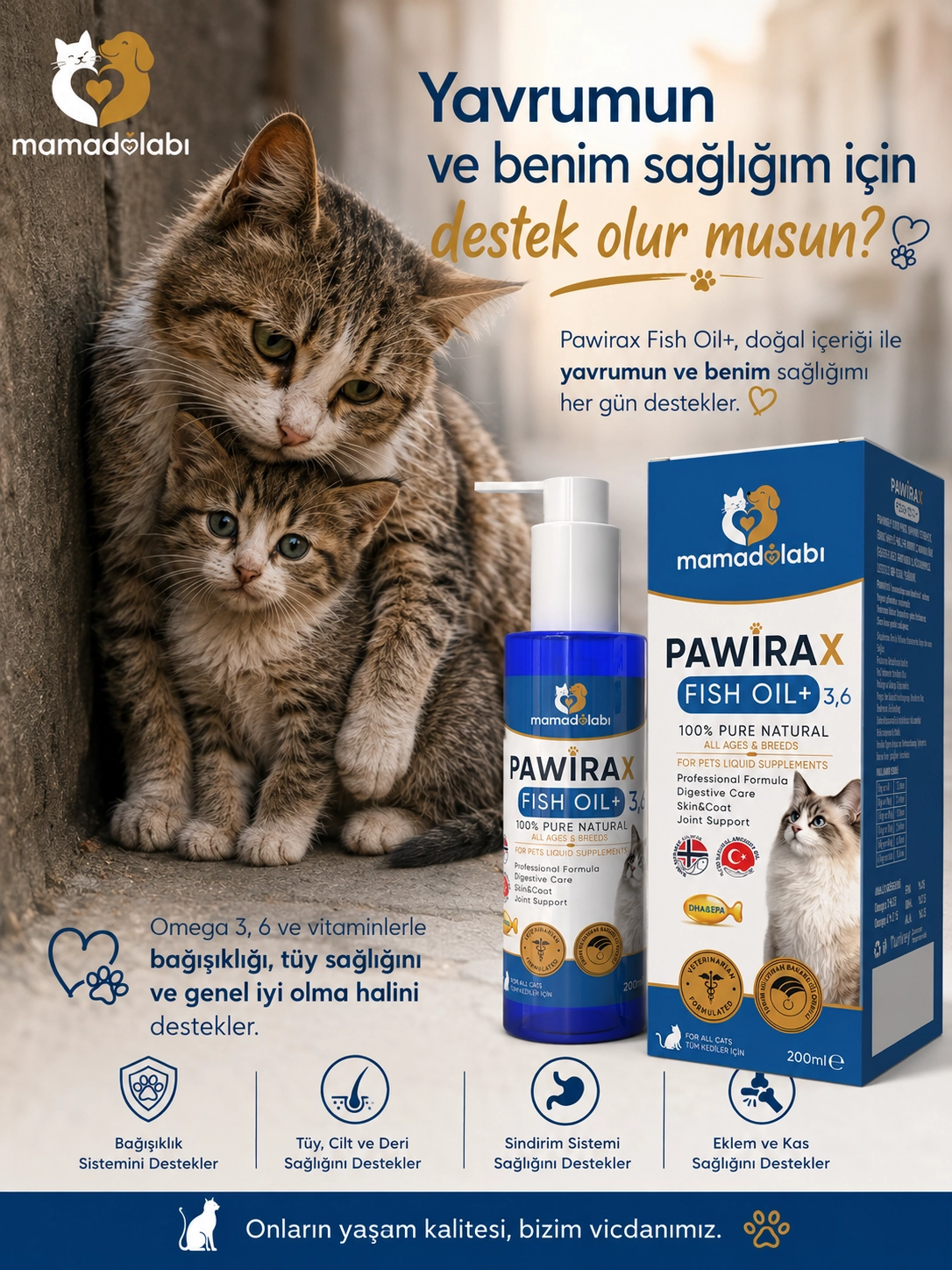 Sokak Kedilerine Destek Yardımcı olun . Kedi Sağlığı için Pawirax Balık Yağı