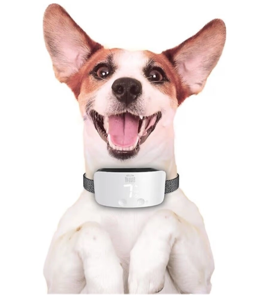 Doggie Premium Havlama Önleyici Eğitim Tasması