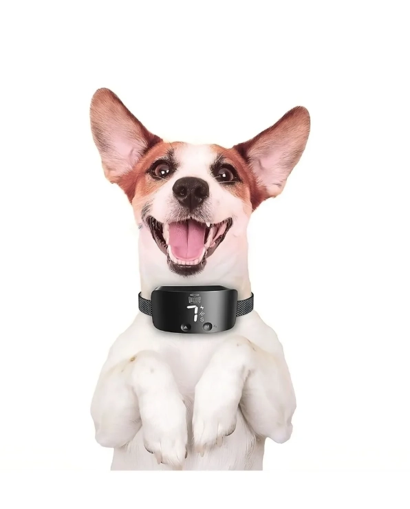 Doggie Premium Havlama Önleyici Eğitim Tasması