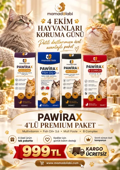PAWİRAX Premium Kedi Sağlık Seti 4 ’ Lü Paket