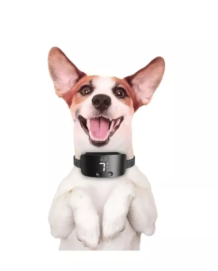 Doggie Premium Havlama Önleyici Eğitim Tasması SYH