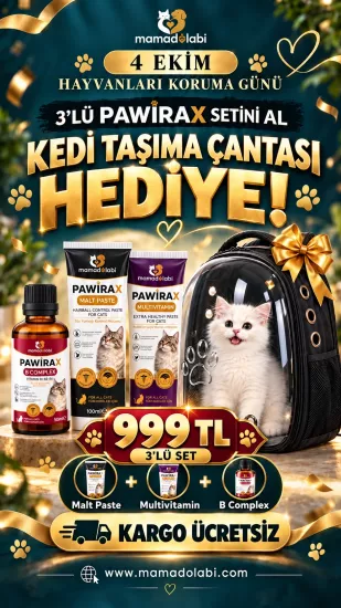 Pawirax 3 Lü Set Kedi Taşıma Sırt Çantası Hediyeli