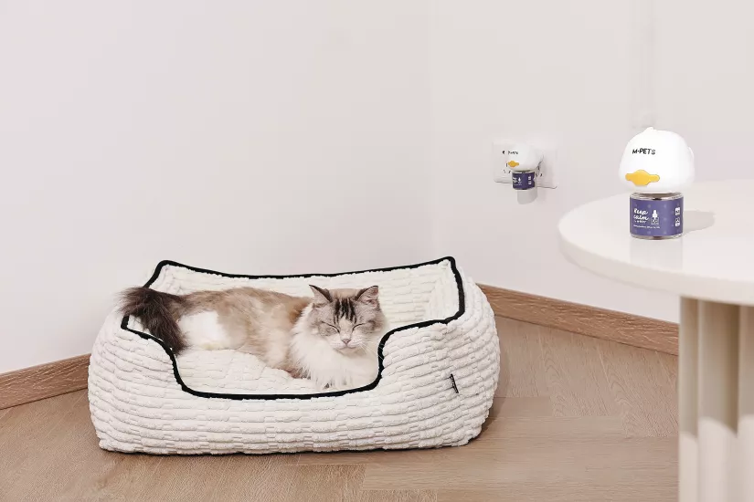 KEEP CALM KEDİ SAKİNLEŞTİRİCİ  DİFFUSER 48ML