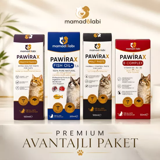 PAWİRAX Premium Kedi Sağlık Seti 4 ’ Lü Paket